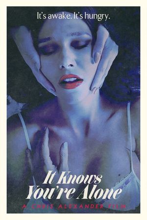It Knows You're Alone's poster
