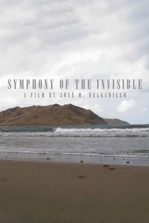 Symphony Of The Invisible's poster