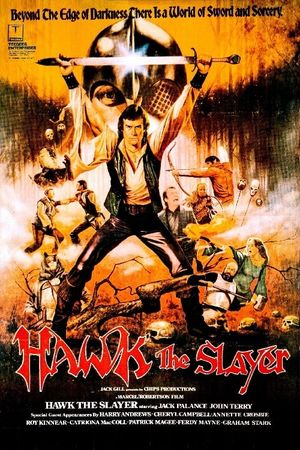 Hawk the Slayer's poster