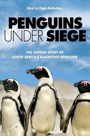 Penguins Under Siege's poster