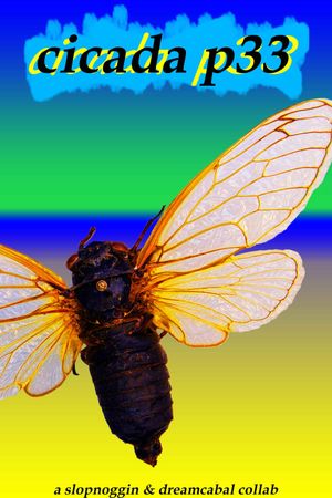 Cicada p33's poster