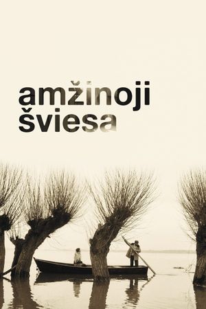 Amzinoji sviesa's poster