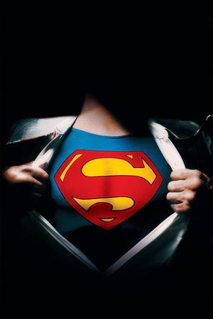 Superman II: The Richard Donner Cut's poster