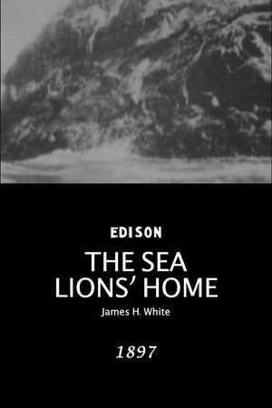 The Sea Lions' Home's poster