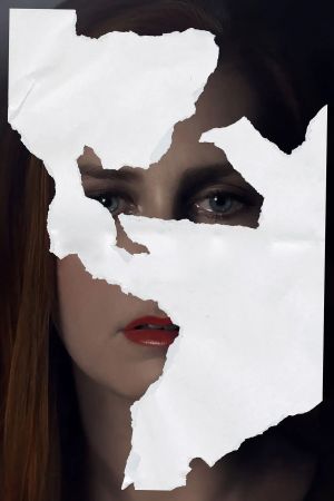 Nocturnal Animals's poster