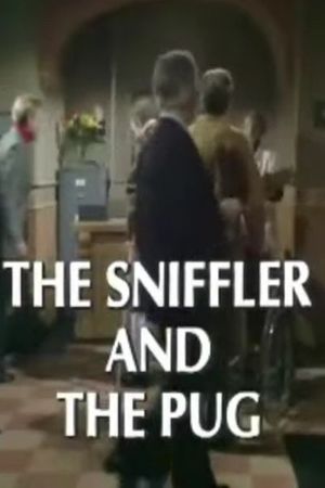 The Sniffler and the Pug's poster