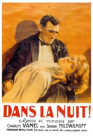 Into the Night's poster