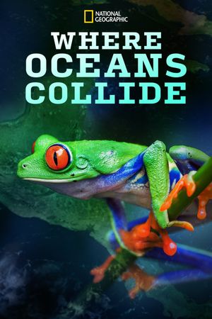 Where Oceans Collide's poster