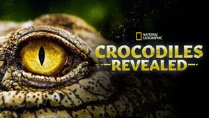 Crocodiles Revealed's poster