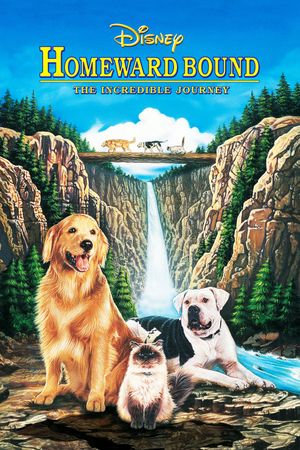 Homeward Bound: The Incredible Journey's poster
