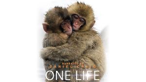 One Life's poster