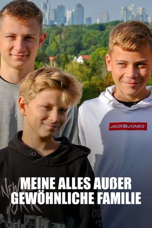 Meine alles außer gewöhnliche Familie's poster