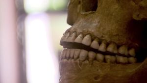 Pompeii: The Mystery of the People Frozen in Time's poster