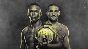 UFC 293's poster