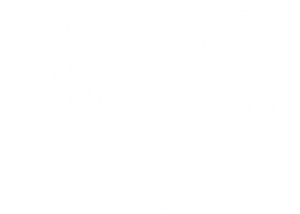 Blackfly's poster