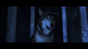Lycan's poster