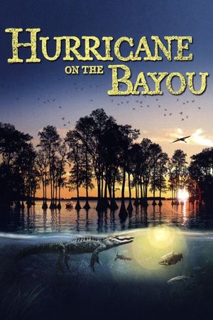 Hurricane on the Bayou's poster