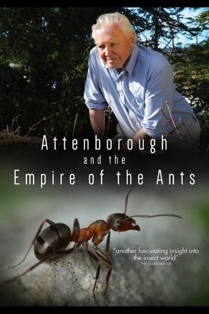 David Attenborough's Ant Mountain's poster