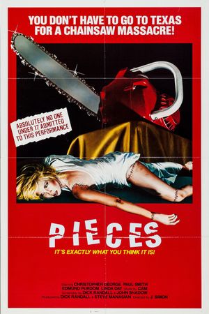 Pieces's poster