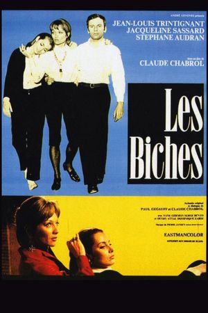 Les Biches's poster