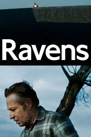 Ravens's poster