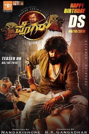Pogaru's poster