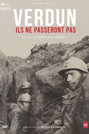 Verdun - They will not pass!'s poster