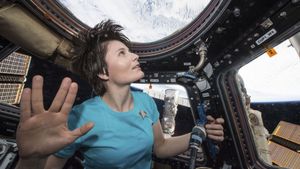 The Wonderful: Stories from the Space Station's poster