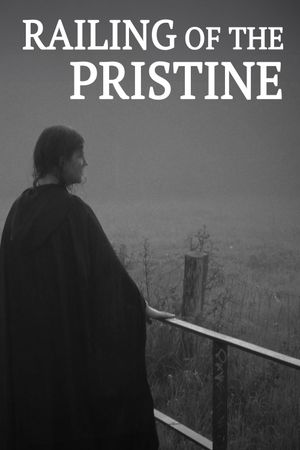 Railing of the Pristine's poster