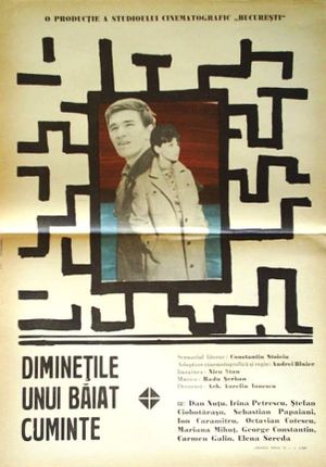 Diminetile unui baiat cuminte's poster