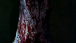 Possession's poster
