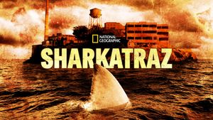 Sharkatraz's poster