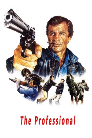 The Professional's poster
