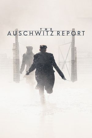 The Auschwitz Report's poster image