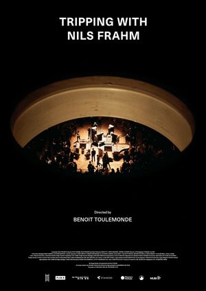 Tripping with Nils Frahm's poster