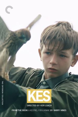 Kes's poster