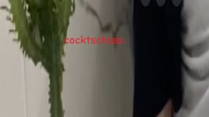 Cocktschüss.'s poster