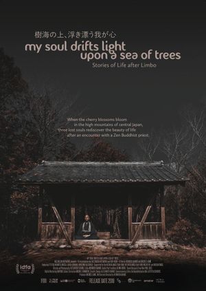 My Soul Drifts Light's poster