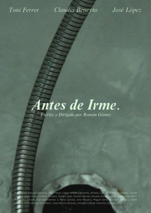 Antes de Irme's poster