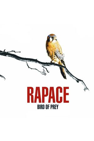 Bird of Prey's poster image