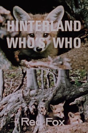 Hinterland Who's Who: Red Fox's poster