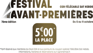 Festival's poster