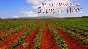 Seeds of Hope's poster