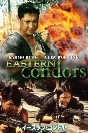 Eastern Condors's poster