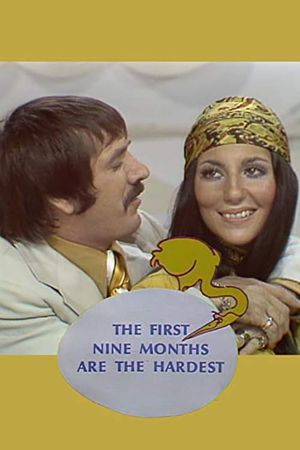 The First Nine Months Are the Hardest's poster