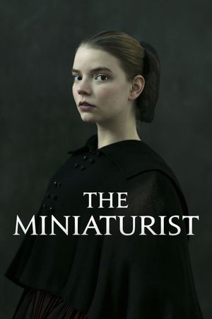 The Miniaturist's poster