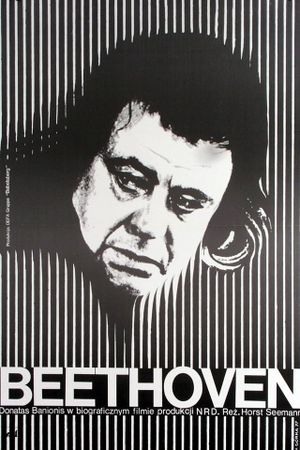 Beethoven-Days in a Life's poster