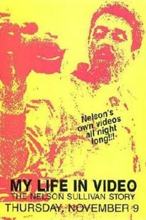 Nelson Sullivan's Video Diaries's poster image