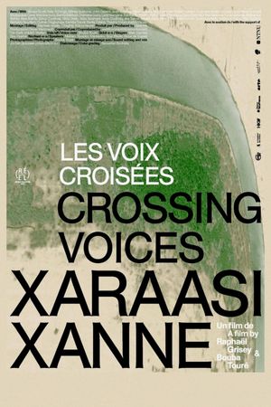 Crossing Voices's poster