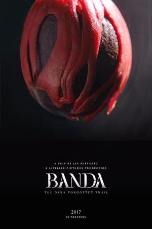 Banda: The Dark Forgotten Trail's poster